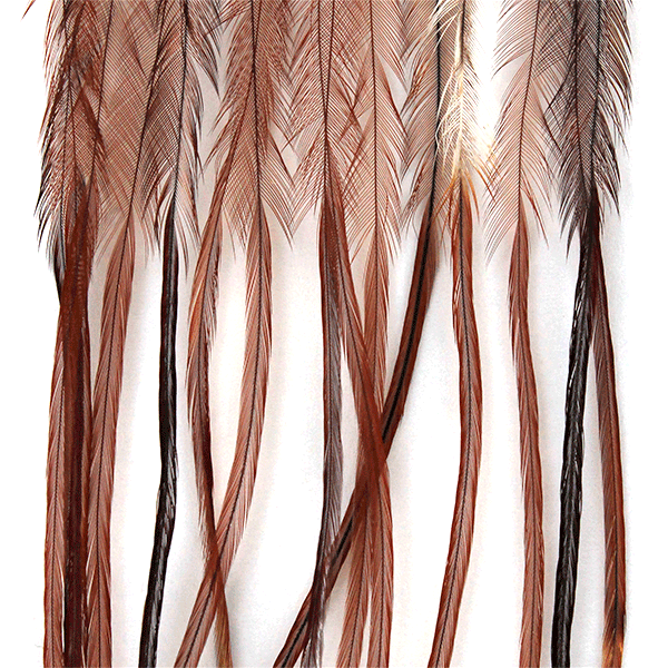 Whiting Farms 100 Saddle Hackle Pack - Spawn Fly Fish - Whiting Farms