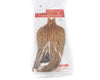 Whiting Farms Dry Fly Hackle - Pro Grade Cape - Spawn Fly Fish - Whiting Farms