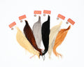 Whiting Farms Half (1/2) Cape - Spawn Fly Fish - Whiting Farms