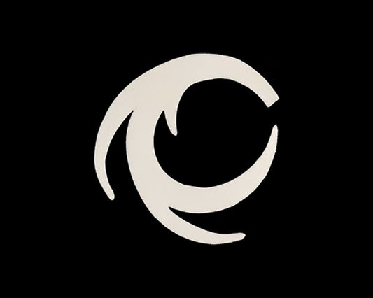 Fishon Pacchiarini's Dragon Tails - Spawn Fly Fish - Fishon