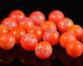Spirit River UV2 Fusion Egg Beads - Spawn Fly Fish - Spirit River