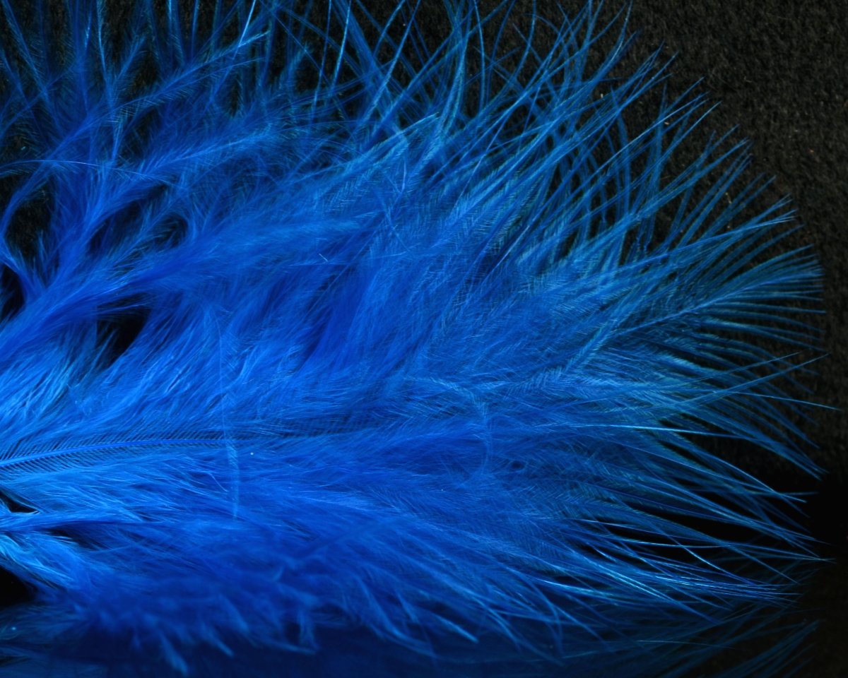 Fish Hunter Blood Quill Marabou - Spawn Fly Fish - Fish Hunter