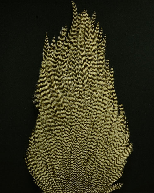 Ewing Cape - Spawn Fly Fish - Ewing Hackle