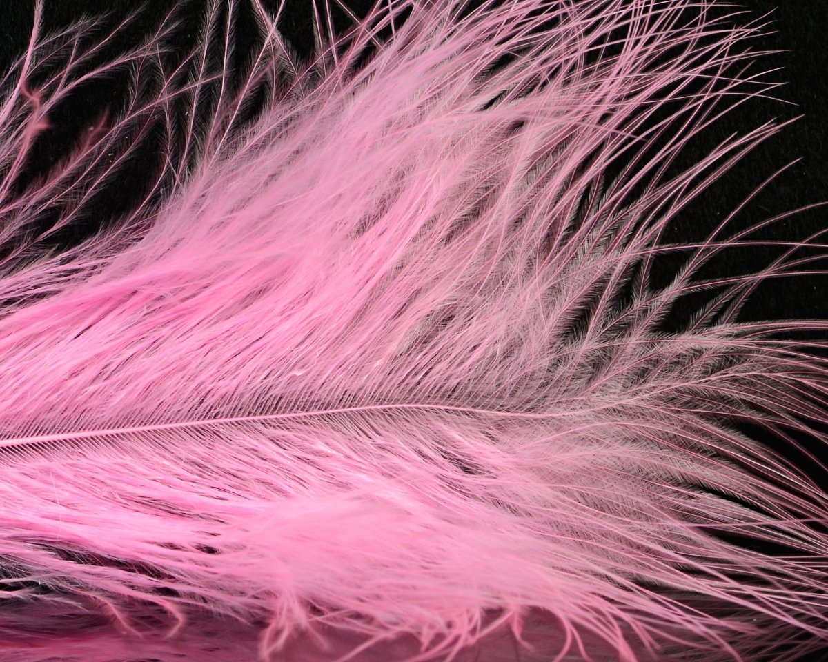 Fish Hunter Blood Quill Marabou Master Pack - Spawn Fly Fish - Fish Hunter