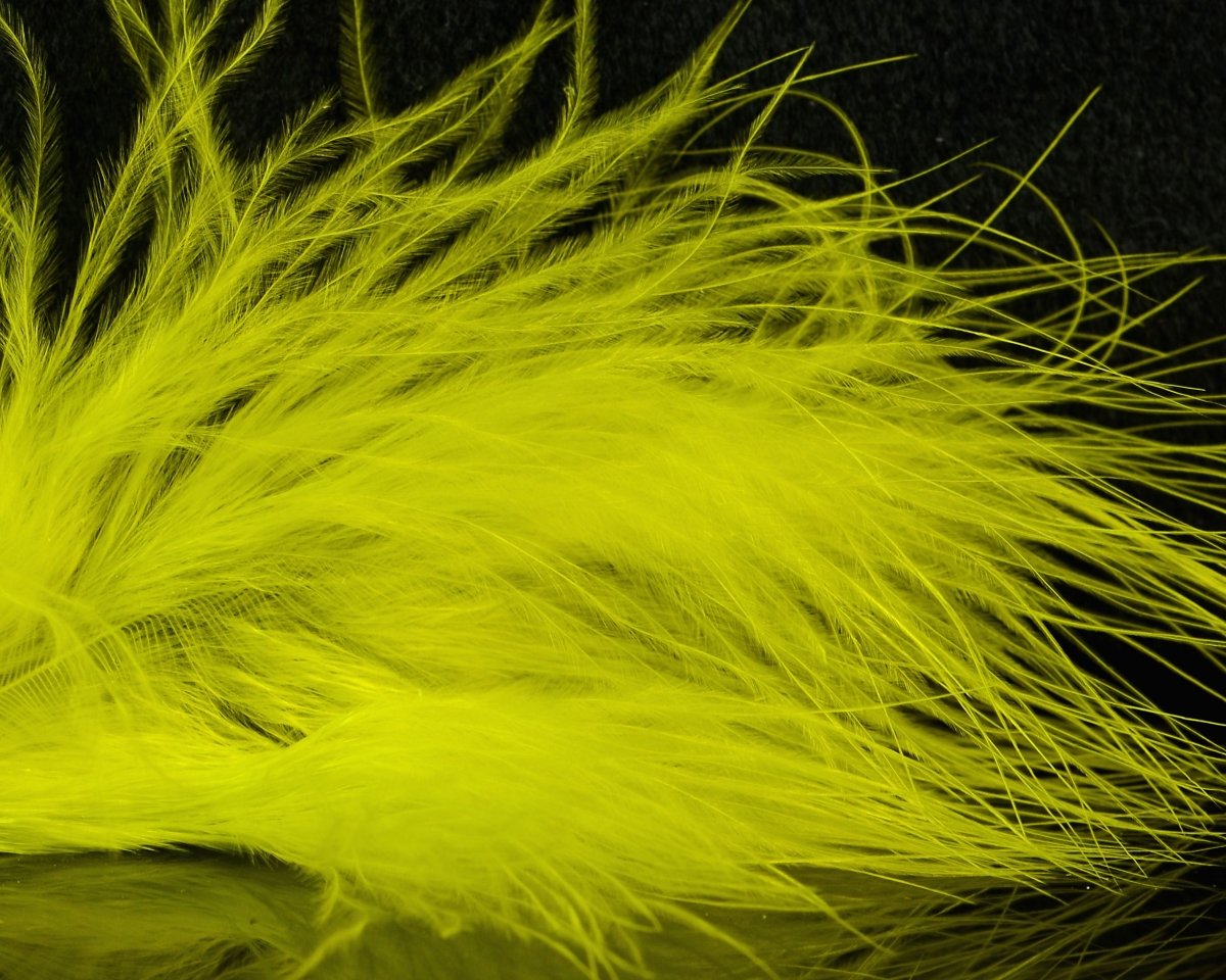 Fish Hunter Blood Quill Marabou Master Pack - Spawn Fly Fish - Fish Hunter