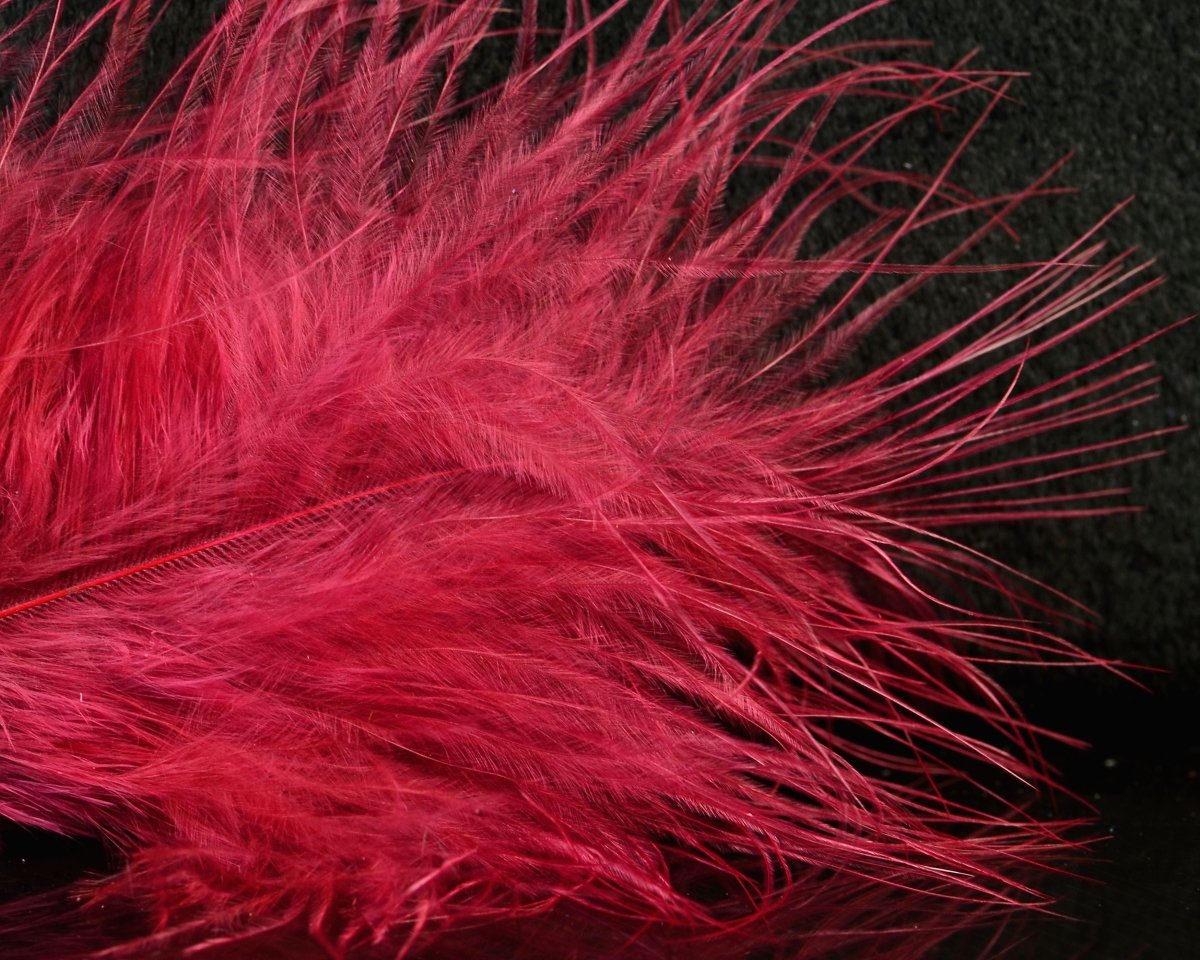 Fish Hunter Blood Quill Marabou Master Pack - Spawn Fly Fish - Fish Hunter