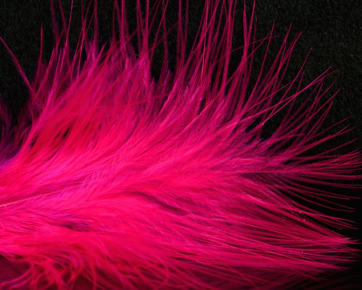 Fish Hunter Blood Quill Marabou Master Pack - Spawn Fly Fish - Fish Hunter