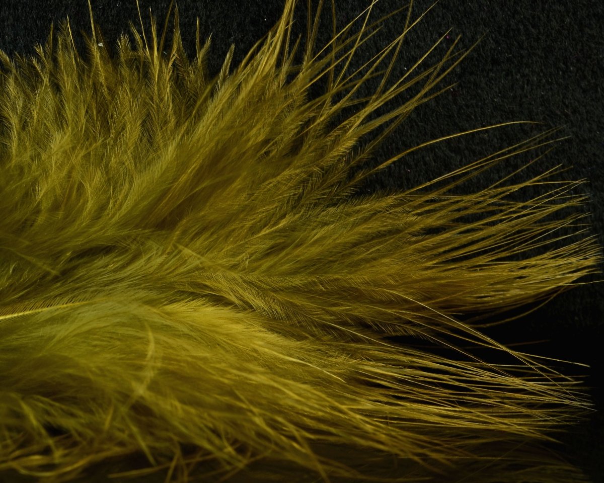 Fish Hunter Blood Quill Marabou Master Pack - Spawn Fly Fish - Fish Hunter