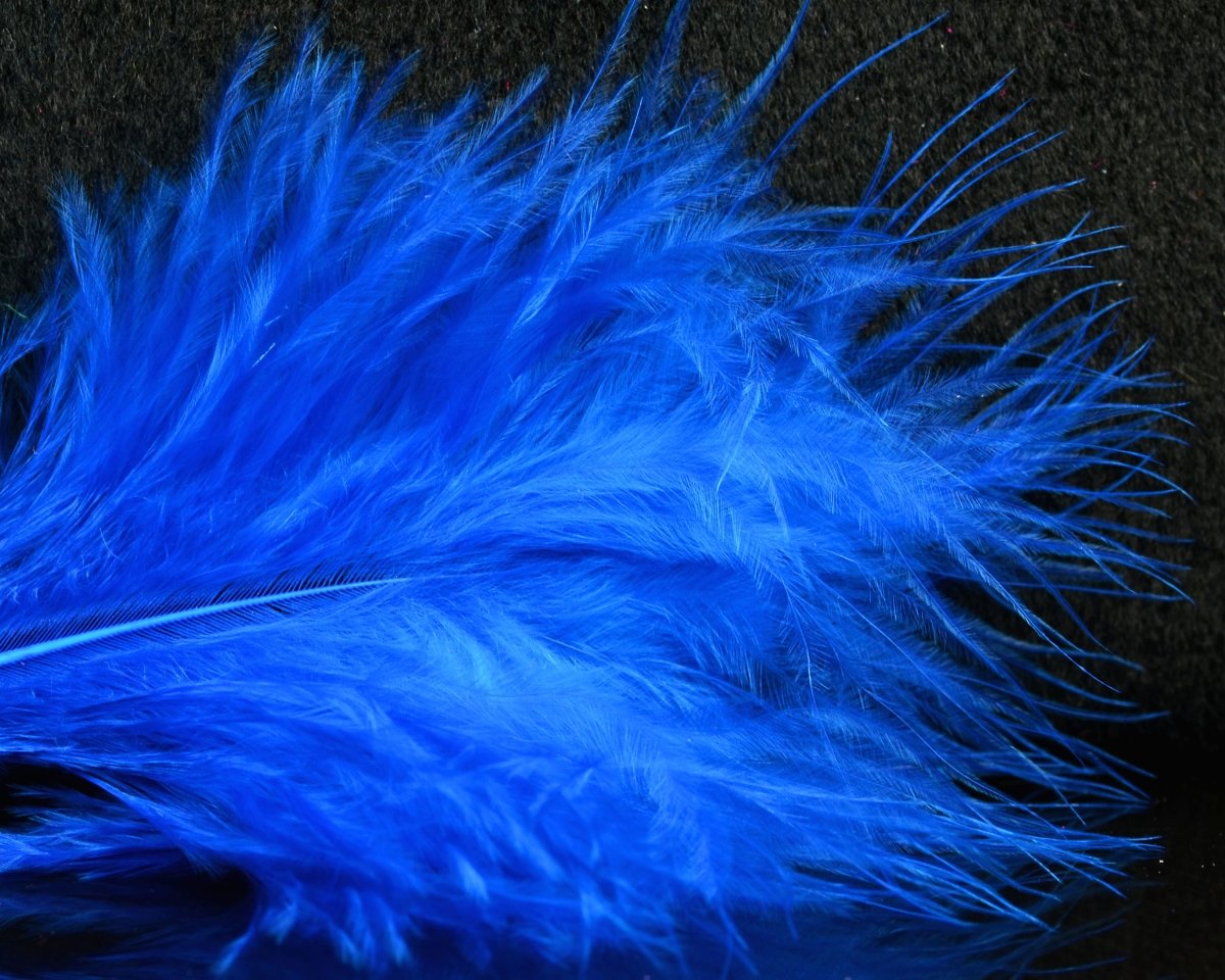 Fish Hunter Blood Quill Marabou Master Pack - Spawn Fly Fish - Fish Hunter