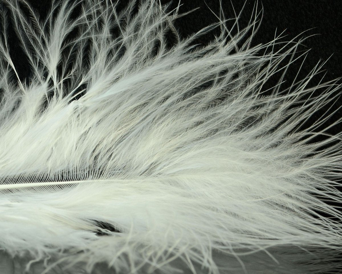 Fish Hunter Blood Quill Spey Marabou Master Pack - Spawn Fly Fish - Fish Hunter