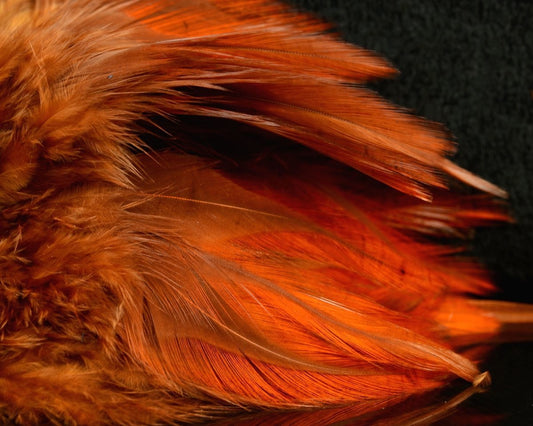 Fish Hunter Saddle Hackle - Spawn Fly Fish - Fish Hunter