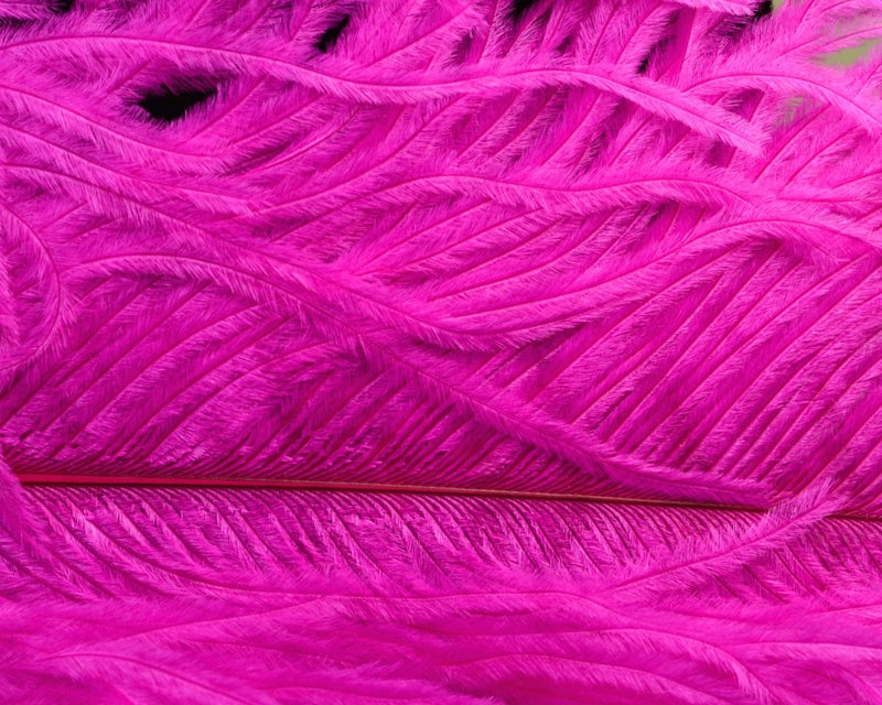 Nature's Spirit Jumbo Ostrich Half Plume - Spawn Fly Fish - Nature's Spirit