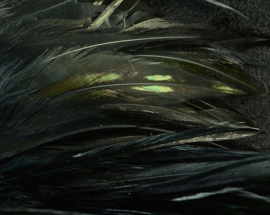 Fish Hunter Select Saddle - Spawn Fly Fish - Fish Hunter