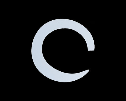 Fishon Pacchiarini's Jumbo Wiggle Tails - Spawn Fly Fish - Fishon