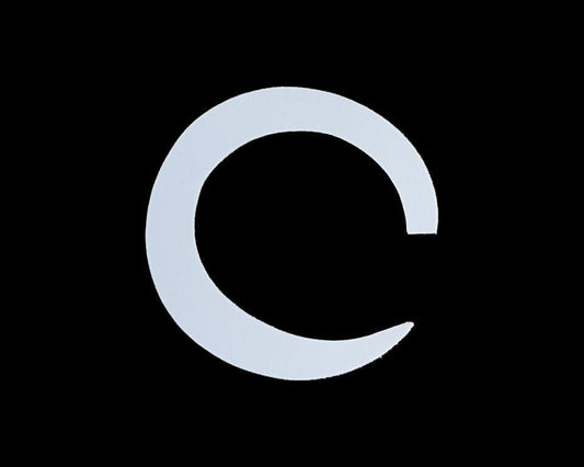 Fishon Pacchiarini's Jumbo Wiggle Tails - Spawn Fly Fish - Fishon