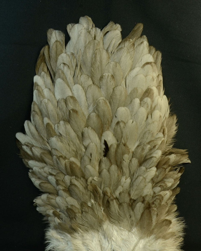 1/4 Lb. - Natural White Hen Saddle Wholesale Plumage Feathers (Bulk)
