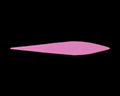 Fishon Pacchiarini's Wave Tails - Spawn Fly Fish - Fishon