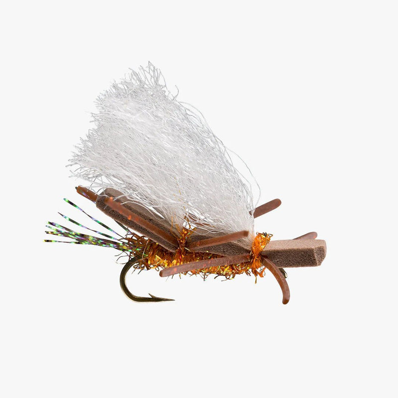 Chubby Chernobyl - Pteronarcys - Spawn Fly Fish - RIO