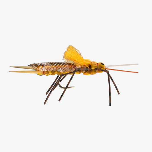 Rio's Morrish Still Stone - Salmonfly / Golden - Spawn Fly Fish - RIO