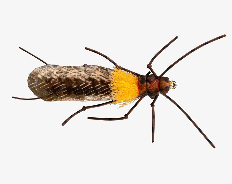 Rio's Morrish Still Stone - Salmonfly / Golden - Spawn Fly Fish - RIO