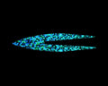 Fishon Pacchiarini's Double Tails - Spawn Fly Fish - Fishon