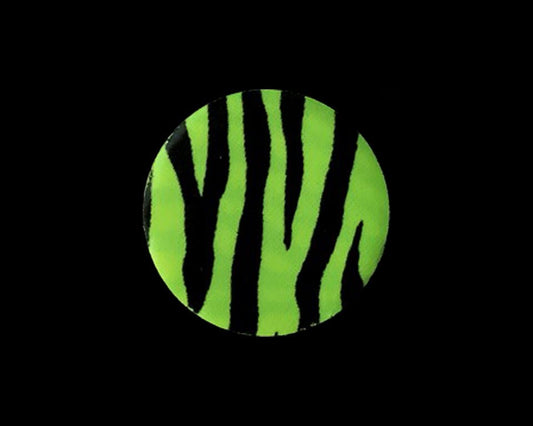 Fishon Pacchiarini's Waterpushing Discs - Spawn Fly Fish - Fishon