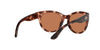 Costa Maya Sunglasses - Spawn Fly Fish - Costa