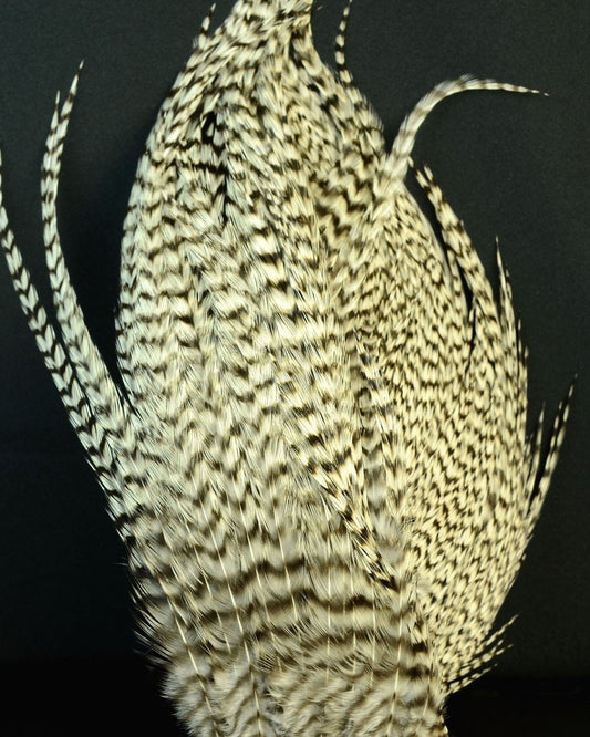 Whiting Farms Wooly Bugger Pack - Spawn Fly Fish - Whiting Farms