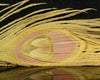 Nature's Spirit Bleached & Dyed Peacock Sticks - Spawn Fly Fish - Nature's Spirit