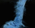 Hareline Black Barred Rabbit Strips - Spawn Fly Fish - Hareline Dubbin