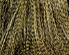 Cascade Crest Micro Barred Voodoo Fibers - Spawn Fly Fish - Cascade Crest