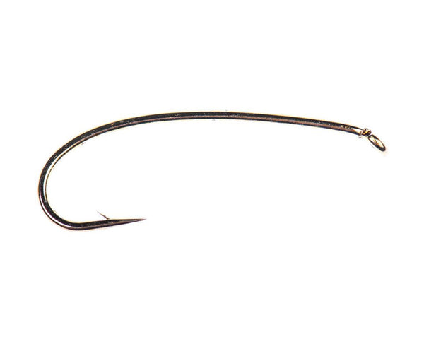 Core C1760 Hopper & Terrestrial Hook - Spawn Fly Fish - Ahrex Hooks