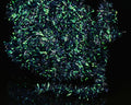 Hareline Cactus Chenille - Spawn Fly Fish - Hareline Dubbin