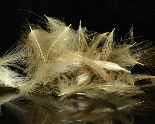 Hareline Cul De Canard (CDC) Feathers - Spawn Fly Fish - Hareline Dubbin