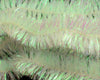 Hareline Crystal Tails - Spawn Fly Fish - Hareline Dubbin
