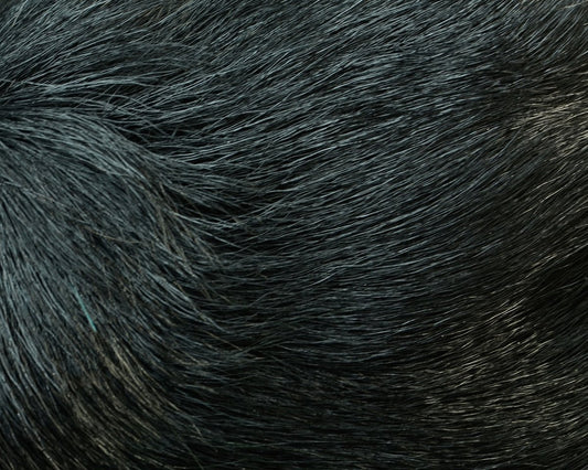 Hareline Deer Belly Hair (Dyed Over White) - Spawn Fly Fish - Hareline Dubbin