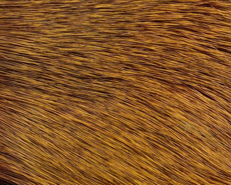Hareline Dyed Deer Body Hair - Spawn Fly Fish - Hareline Dubbin
