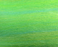 Enrico Puglisi EP Fibers 3-D - Spawn Fly Fish - Enrico Puglisi
