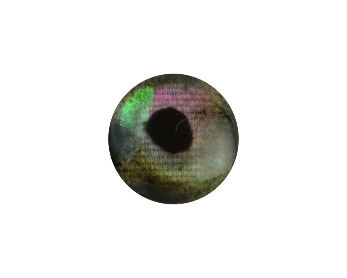 Spawn Eyes - Spawn Fly Fish – Spawn Fly Fish