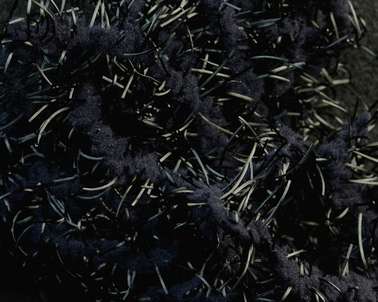 FNF Creeper Chenille - Spawn Fly Fish - FNF