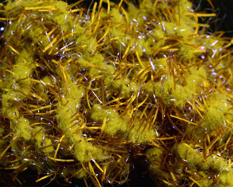 FNF UV Creeper Chenille - Spawn Fly Fish - FNF