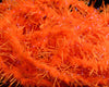 FNF UV Creeper Chenille - Spawn Fly Fish - FNF