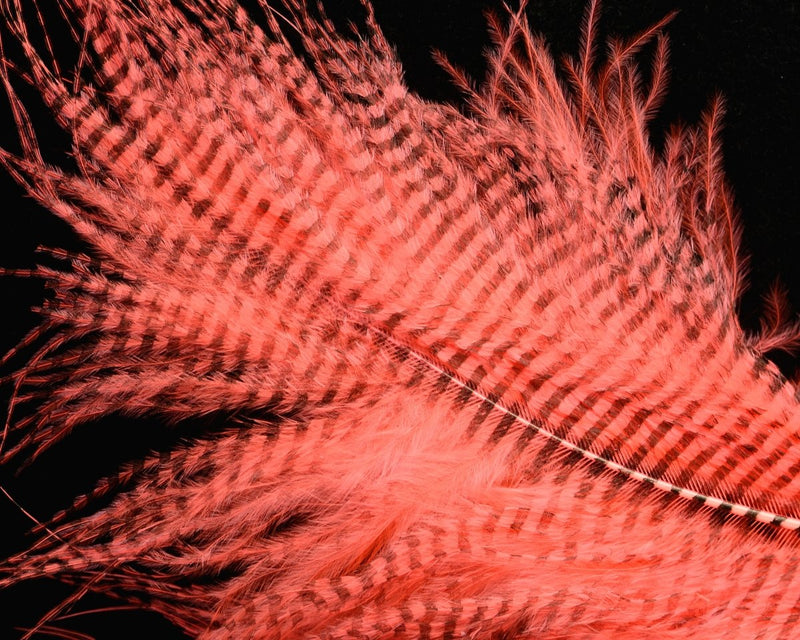 Hareline Fine Black Barred Marabou Feathers - Spawn Fly Fish - Hareline Dubbin