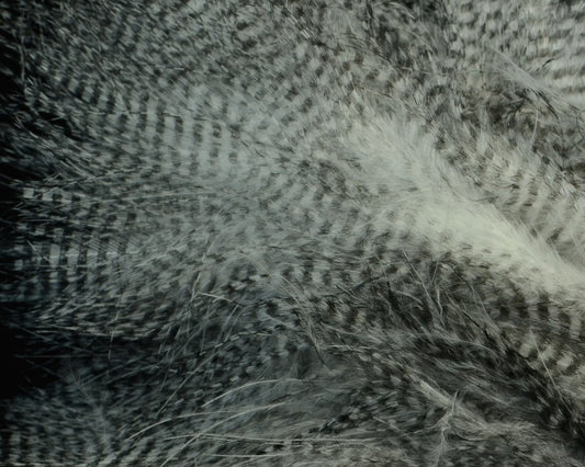 Hareline Fine Black Barred Marabou Feathers - Spawn Fly Fish - Hareline Dubbin