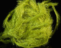 Hareline Chocklett's Finesse Body Chenille - Spawn Fly Fish - Hareline Dubbin