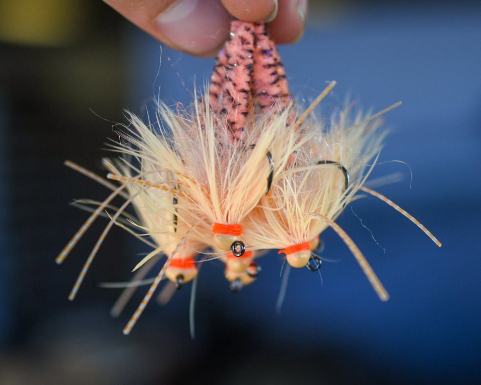 Spawn Fly Kit - Jetty Worm - Spawn Fly Fish– Spawn Fly Fish
