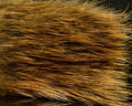 Hareline Beaver Fur Piece - Spawn Fly Fish - Hareline Dubbin