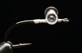 Hareline Flat End Eye Glass Rattles - Spawn Fly Fish - Hareline Dubbin