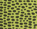 Frog Foam - Spawn Fly Fish - Hareline Dubbin