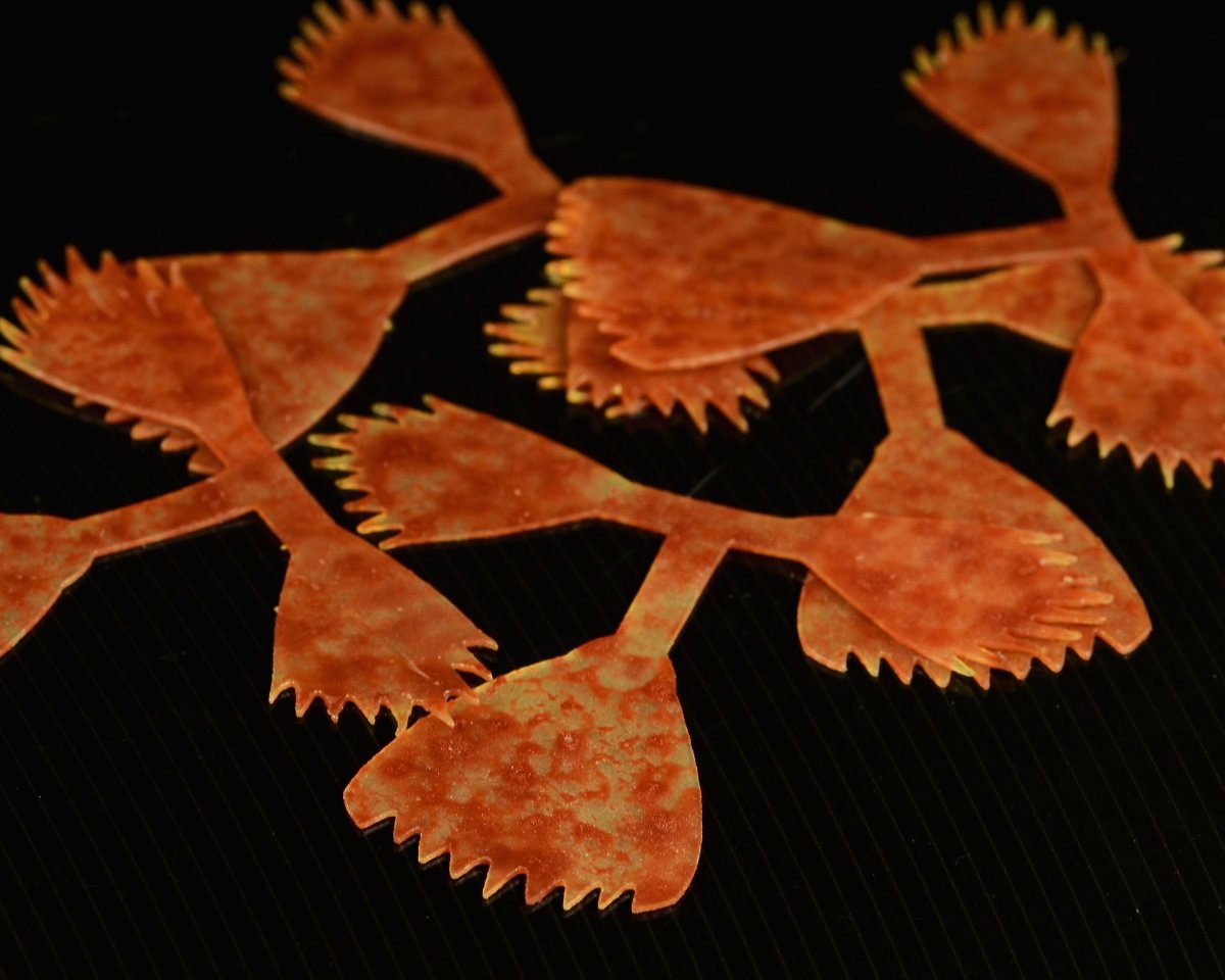 Kiley's Fish Finz - Spawn Fly Fish - Hareline Dubbin